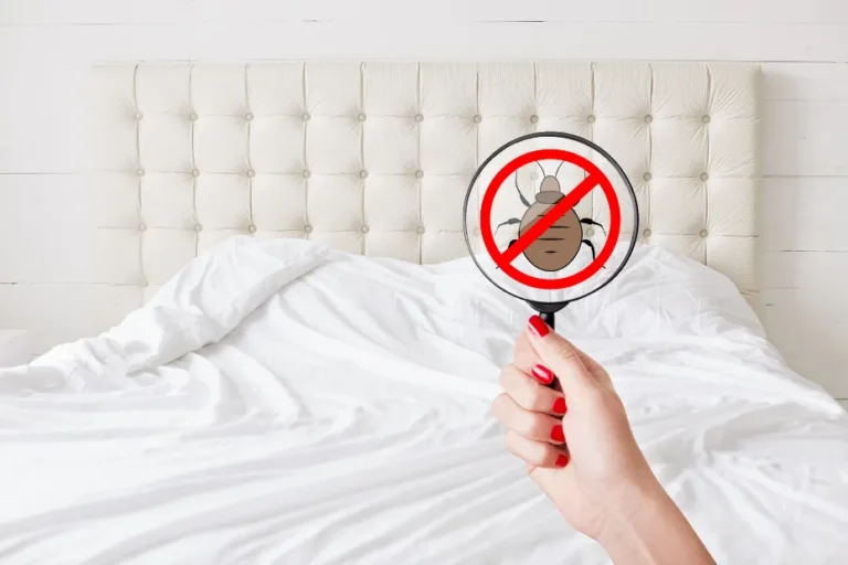 Will Landlord Cover Bed Bug Expenses? Find Out Now!